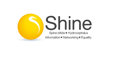 The Shine logo
