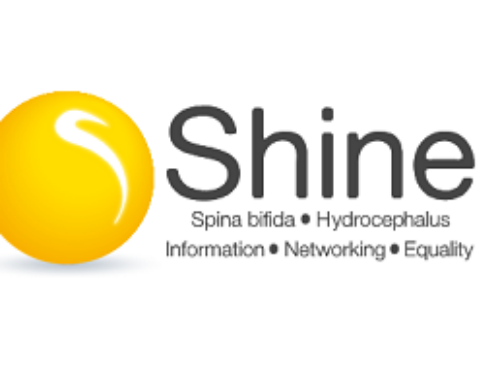 The Shine logo
