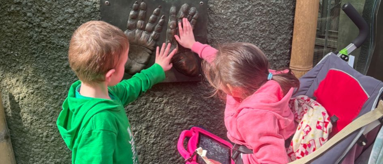 Matthew and Olivia are on a day out, facing two giant animal handprints and putting their hands against them to compare size.