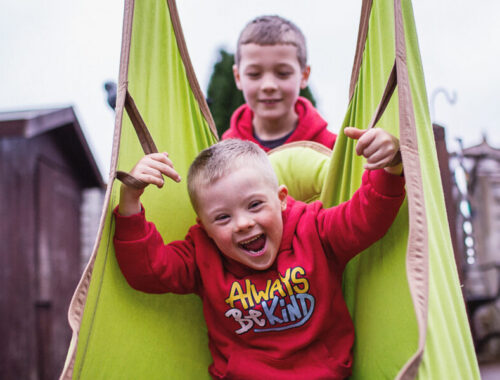 Two brothers play together in the garden on a swing.