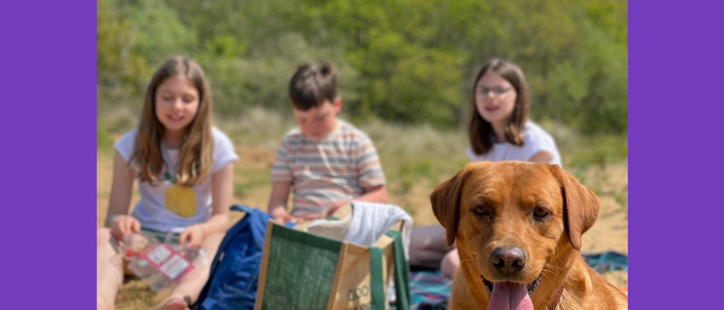 Three children and their dog sit on the beach eating a picnic